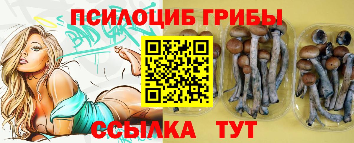 Галлюциногенные грибы ЛСД Дзержинский