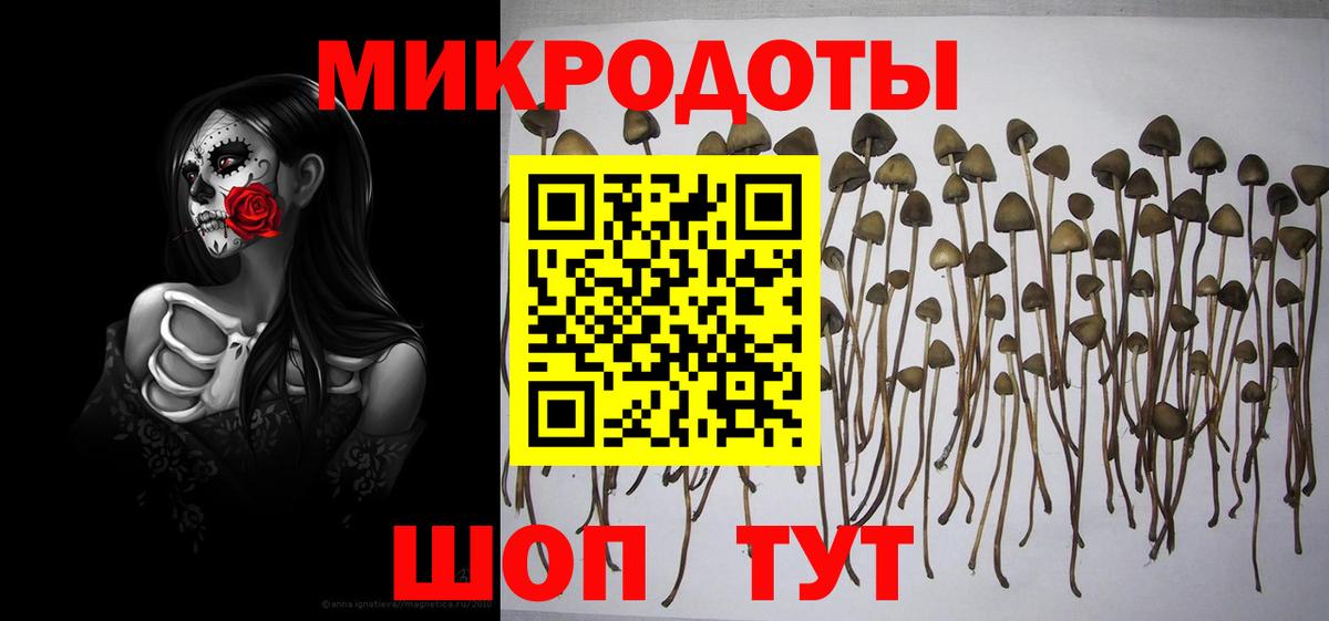 Дзержинский  Галлюциногенные грибы MAGIC MUSHROOMS  Вход с VPN 